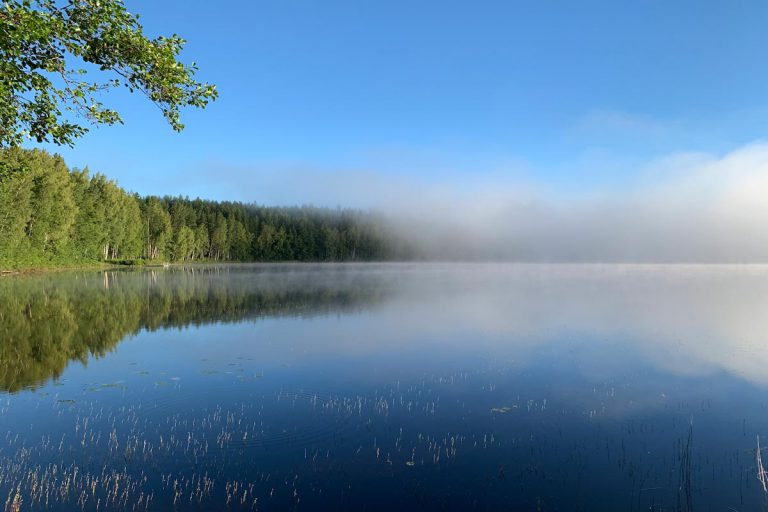 Hiilineutraali messuosasto kunnioittaa luontoa